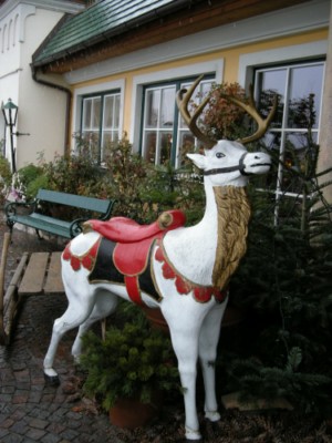 Schwarzoutside [400x300].JPG