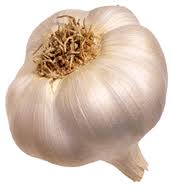 Garlic Bulb.jpeg