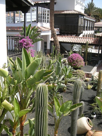 Garden2LaRes small.jpg