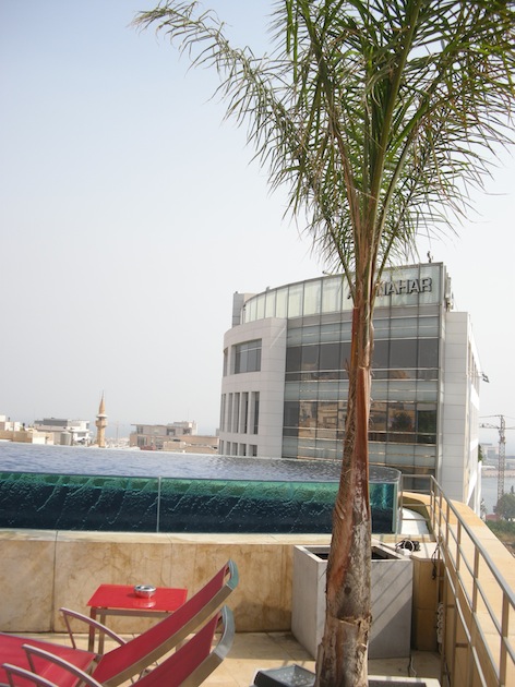LeGray rooftop Palm small.jpg