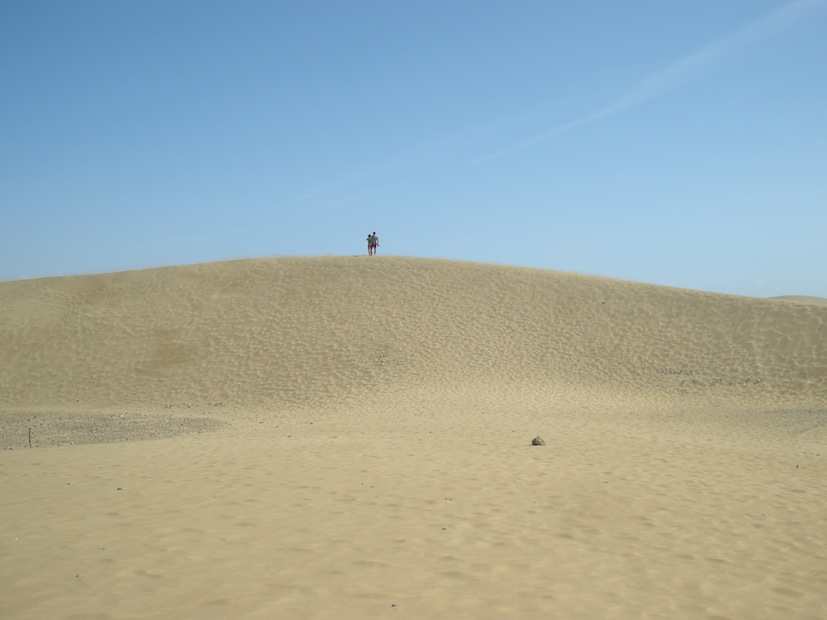 mas dunes small.jpg